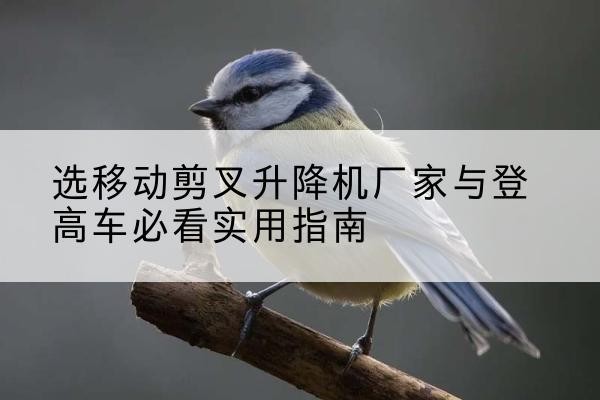 沙市电动升降机厂家-选移动剪叉升降机厂家与登高车必看实用指南