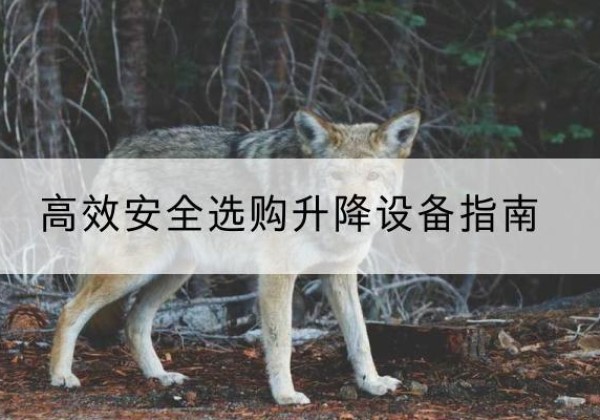 沙市升降货梯厂家推荐-*安全选购升降设备指南