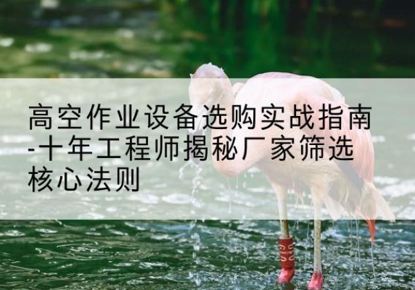 沙市剪叉式升降机厂家-高空作业设备选购实战指南-十年工程师揭秘厂家筛选核心法则